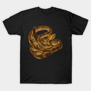 serpent,cobra,reptile,viper,venom,lizard,rattlesnake,king cobra T-Shirt